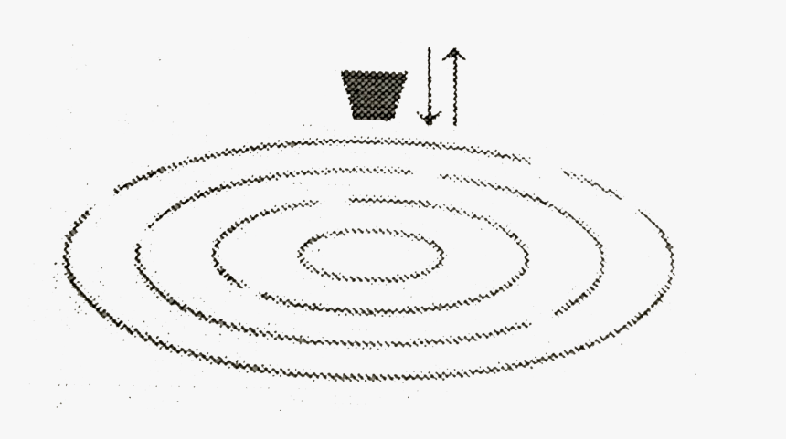 Circle, HD Png Download