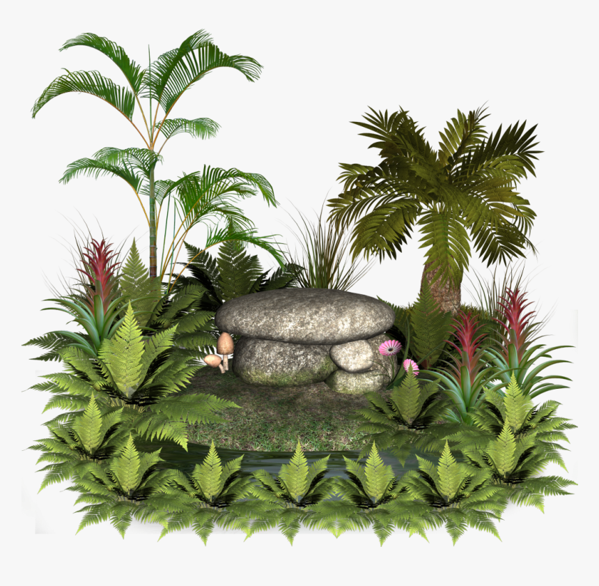 Plants And Rocks Good Morning Happy Monday God Bless Hd Png
