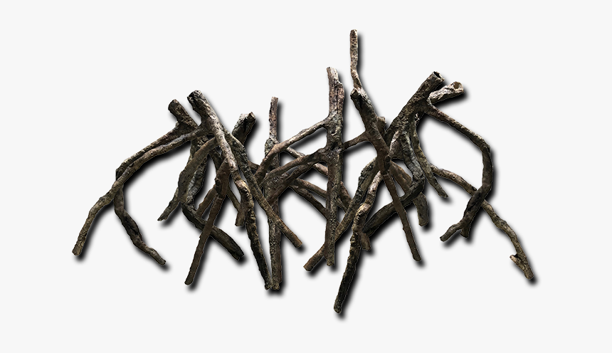 Logs Roots Bottom Rocks - Invertebrate, HD Png Download