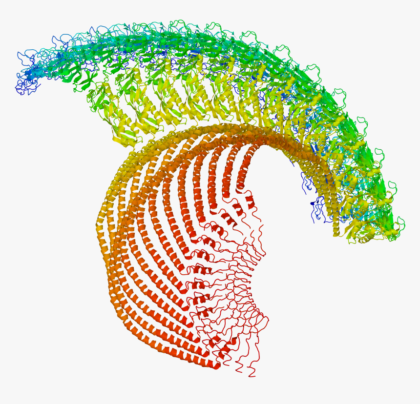 Estructuras Macromoleculares, HD Png Download