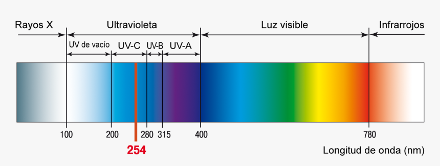 Radiacion Ultravioleta Longitud De Onda, HD Png Download