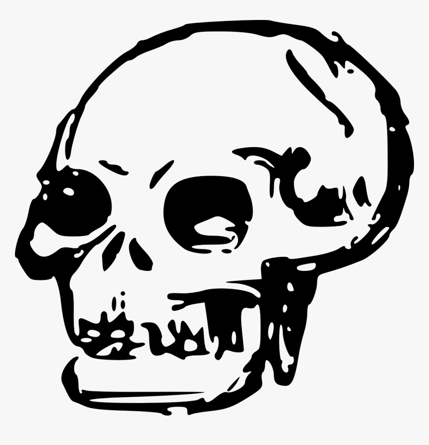 Line Art,head,skull - Skull Clip Art Png, Transparent Png