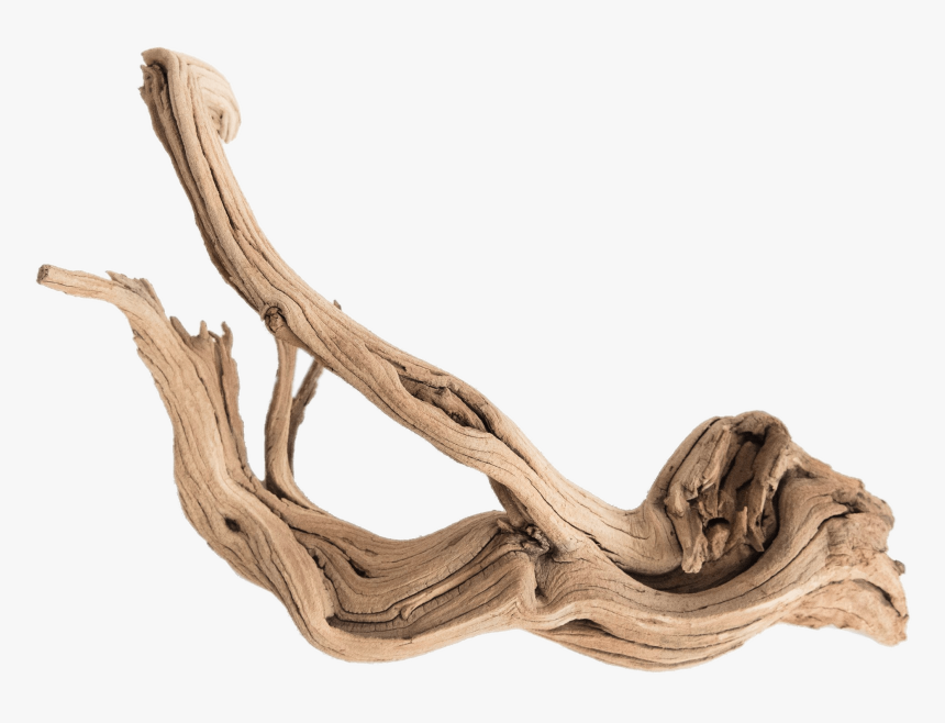 Piece Of Driftwood - Driftwood Png, Transparent Png
