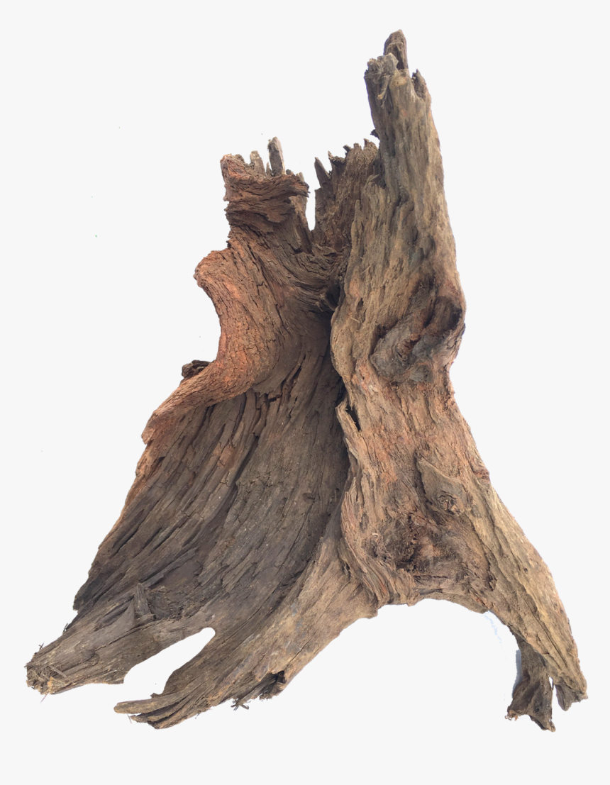 Transparent Driftwood Png - Driftwood Png Transparent Background, Png Download