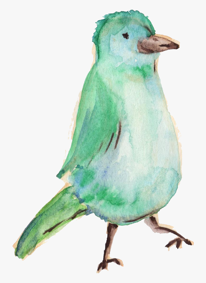 Water Color Bird Png - Watercolor Animals Png, Transparent Png