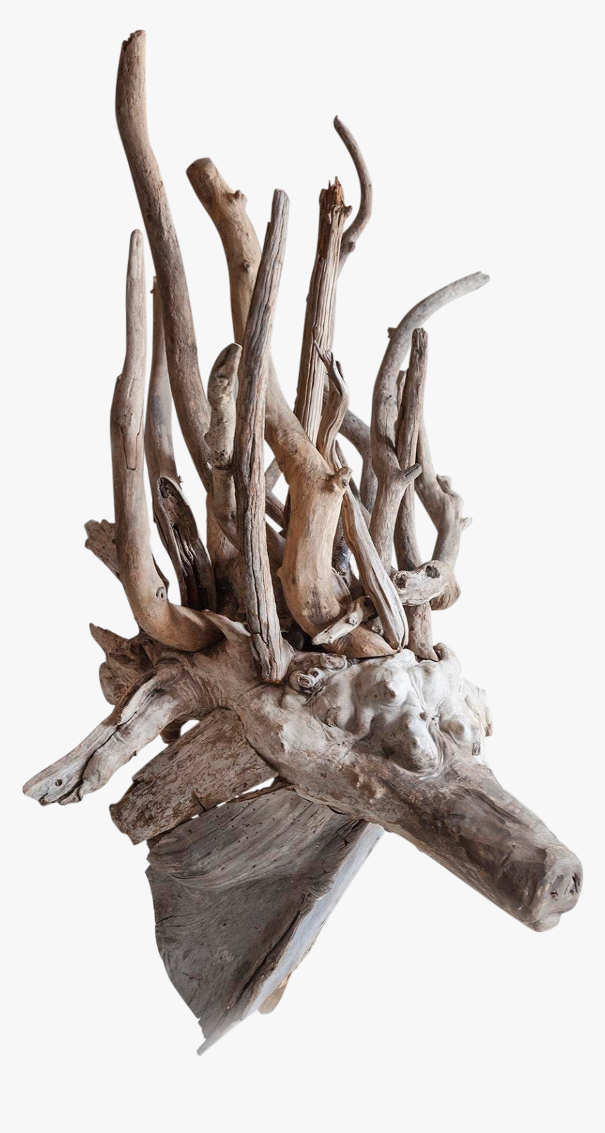 Driftwood Fantasy Animal Head Sculpture 6926 - Driftwood, HD Png Download