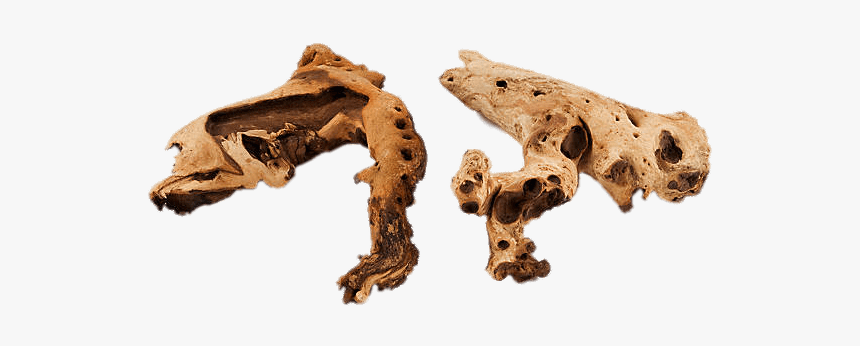 Driftwood For Aquarium - Kinds Of Woods For Aquarium, HD Png Download