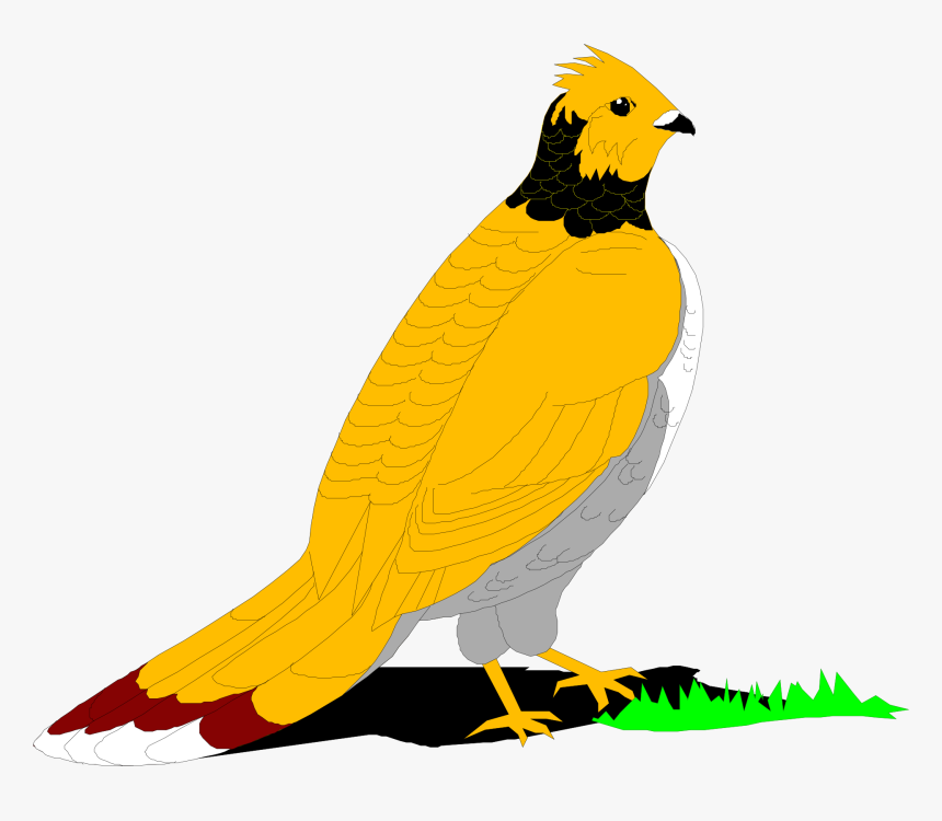 Clip Art, HD Png Download