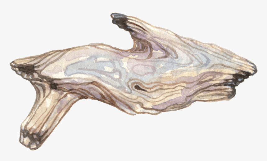 Ottiliascribbles June Full Resolution Transparent Background - Driftwood, HD Png Download