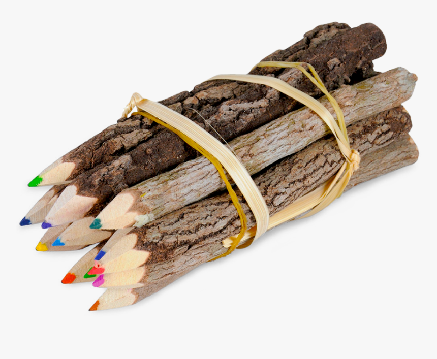 Website Category Image Children - Driftwood, HD Png Download