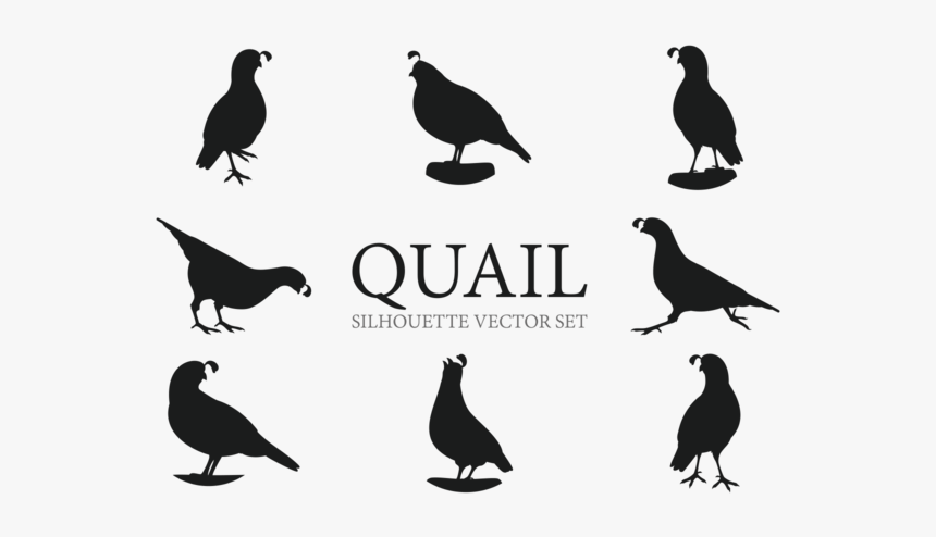 Quail Silhouette, HD Png Download