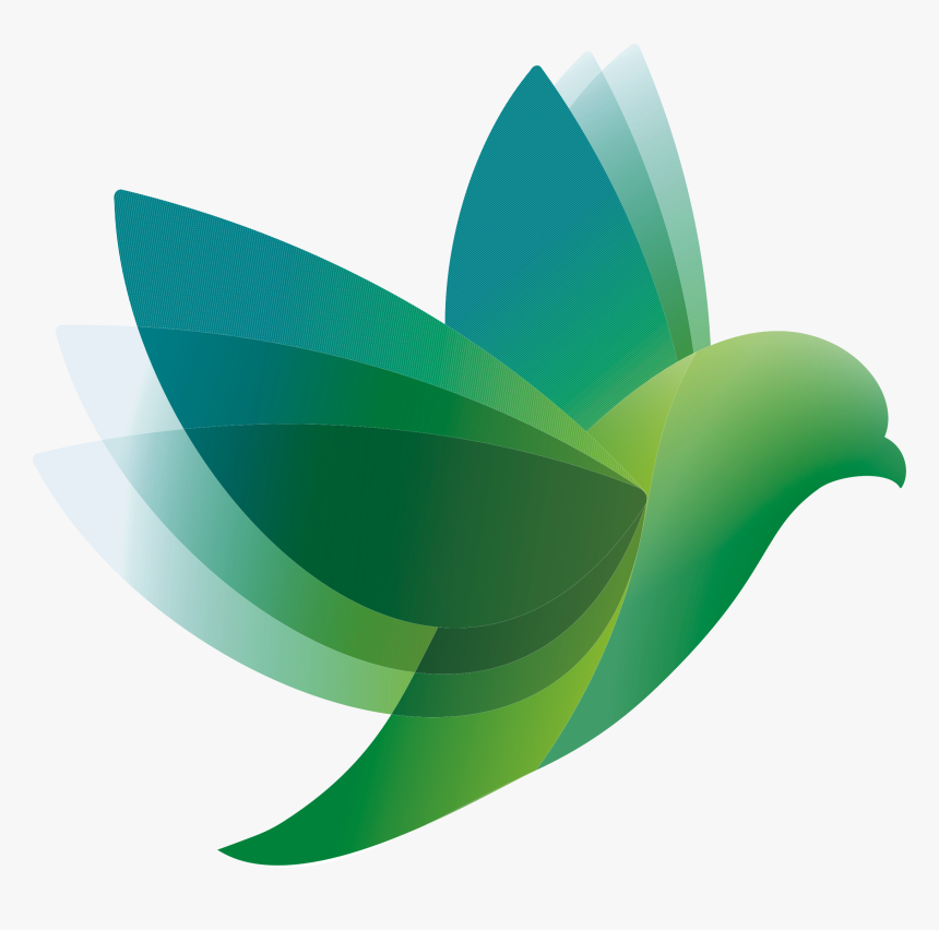 Bird Logo Vector - Vector Graphics, HD Png Download