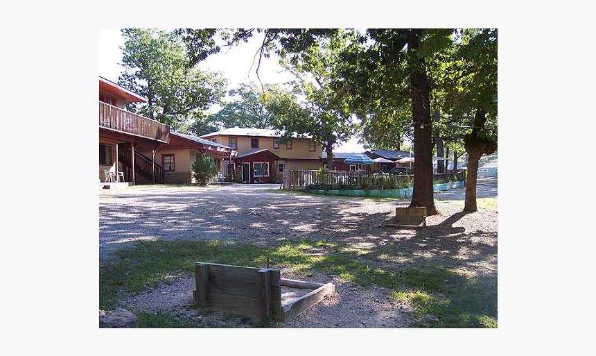 Tree, HD Png Download