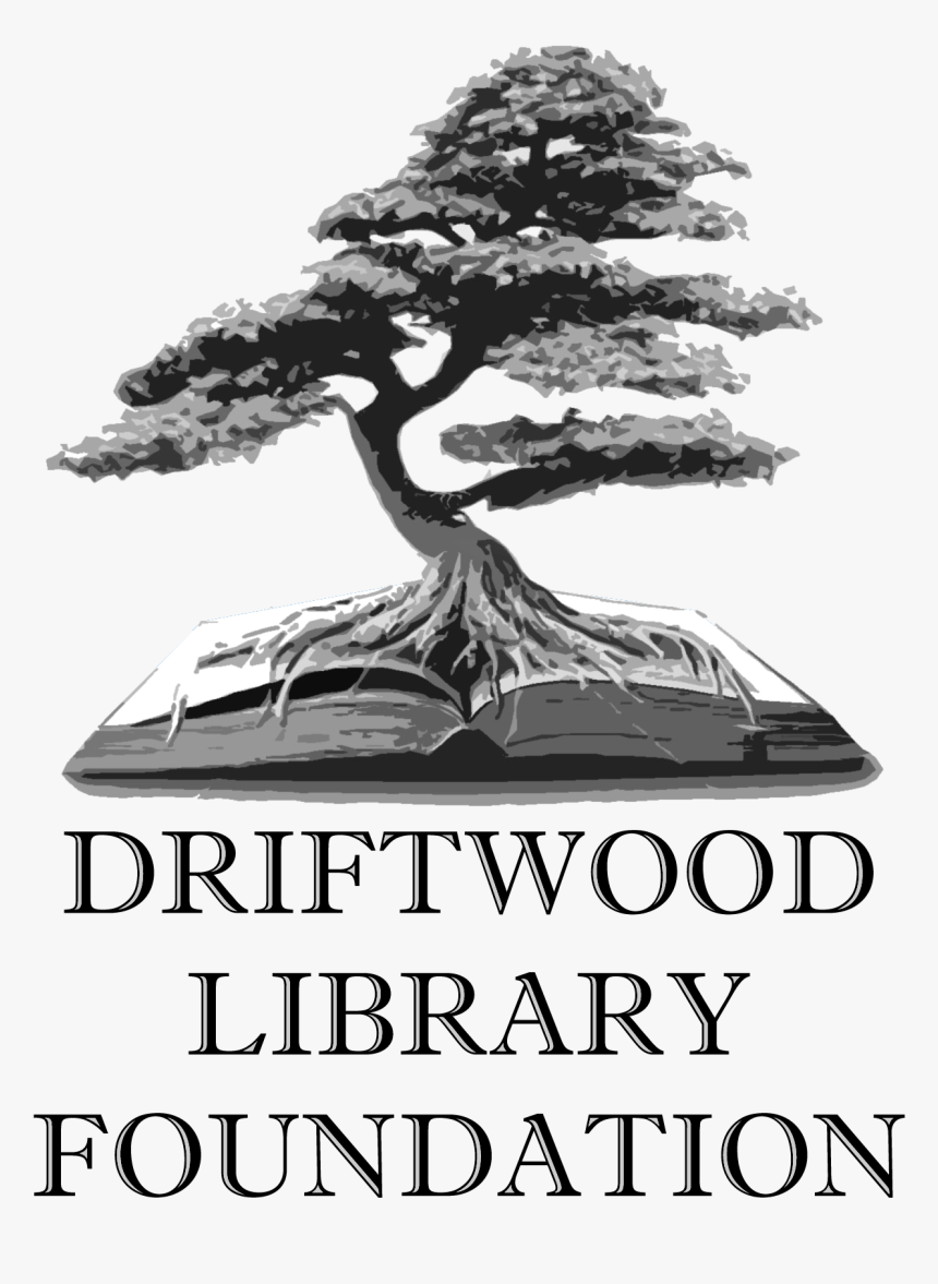 Driftwood Library Foundation - Sageretia Theezans, HD Png Download