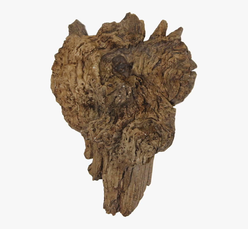 Wood, HD Png Download