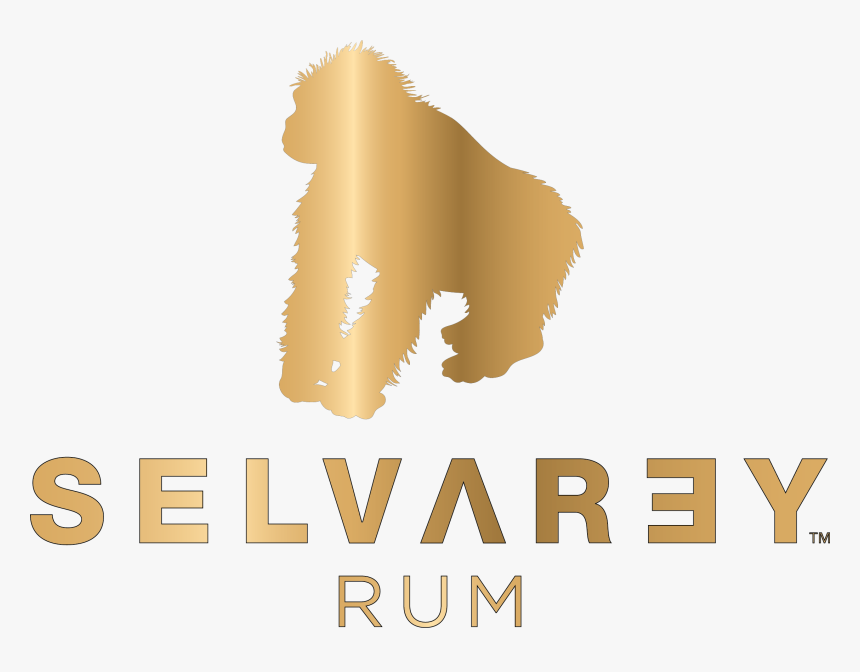 Tan, HD Png Download