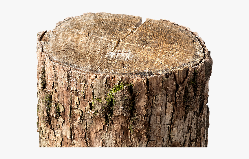 Stock Photography, HD Png Download