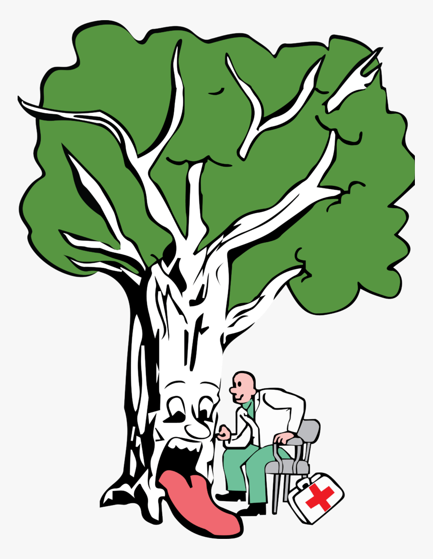 Healthy Tree Drawing, HD Png Download
