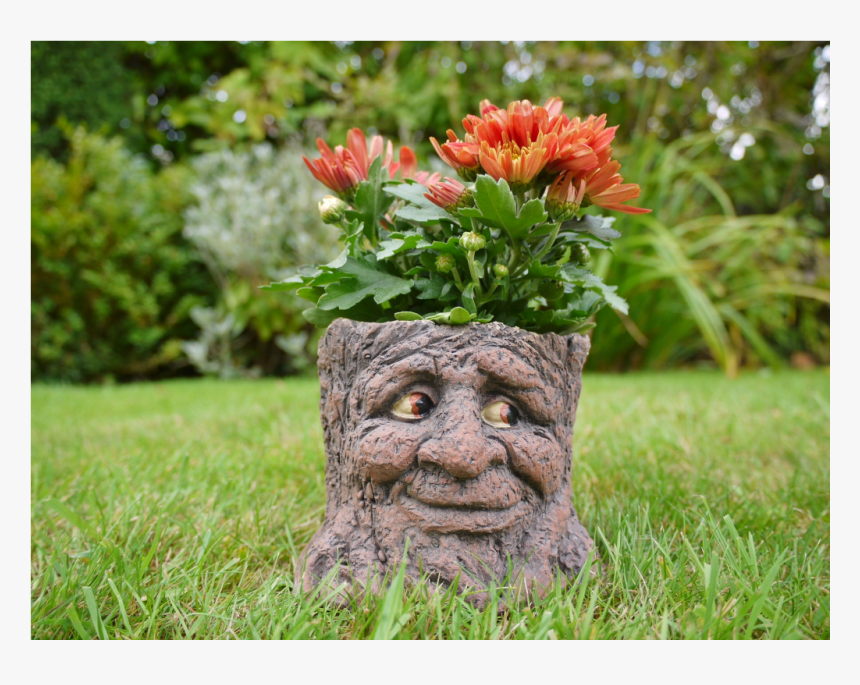 Flowerpot, HD Png Download