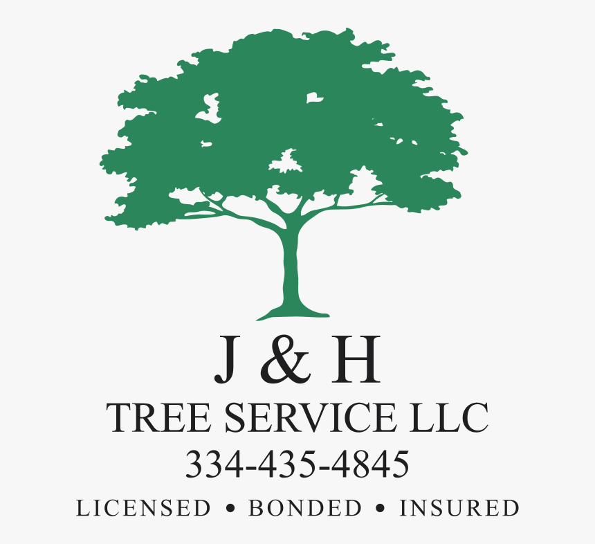 Fire Dancer Dreaming Tree Dmb, HD Png Download