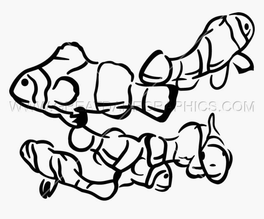 Transparent Clown Fish Png, Png Download
