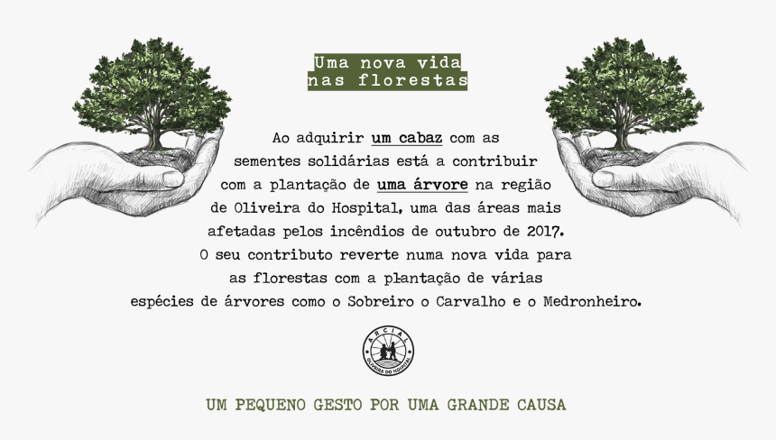100 Days Blank Sketchbook - Texto A Vida Da Floresta, HD Png Download