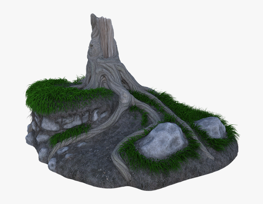 Tree Trunk, Rocks, Stump, Forest, Grass, Dirt - Grass, HD Png Download