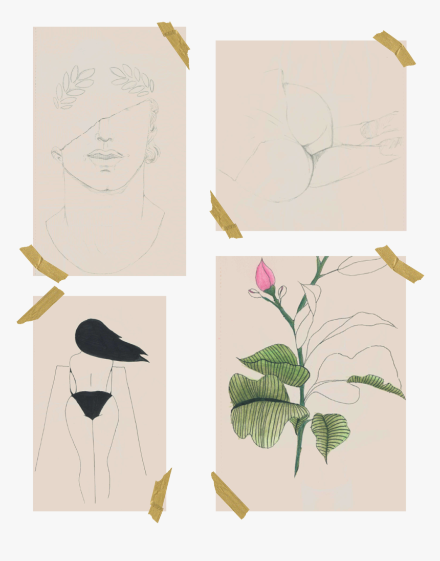 Sketchbook5 - Sketch, HD Png Download