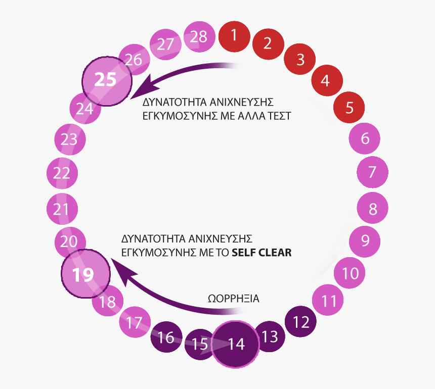 Self Clear - Τεστ Εγκυμοσύνησ Self Clear, HD Png Download