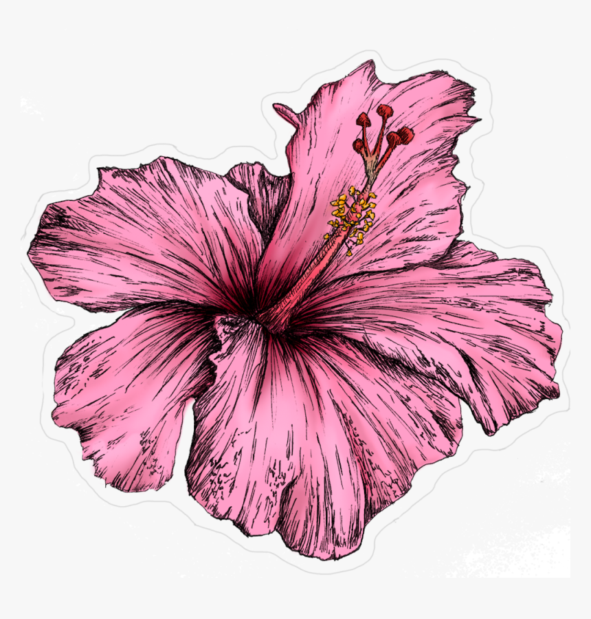 Untitled-1 - Hawaiian Hibiscus, HD Png Download