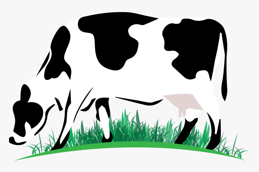 Dairy Cow, HD Png Download