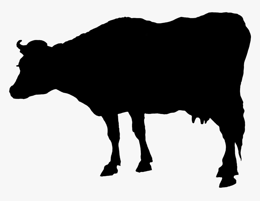 2346 Cow Free Vintage Clip Art➢ Download Images Here - Cattle, HD Png Download