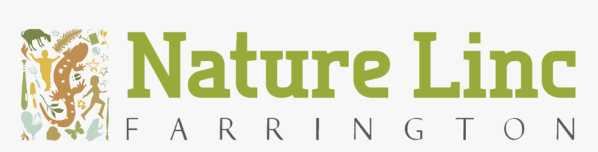 Nature Linc Transparent, HD Png Download