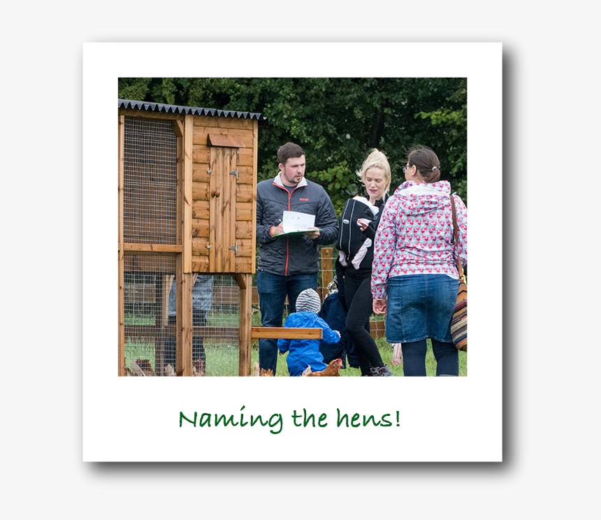 Clip Art Cha De Burro - Picture Frame, HD Png Download