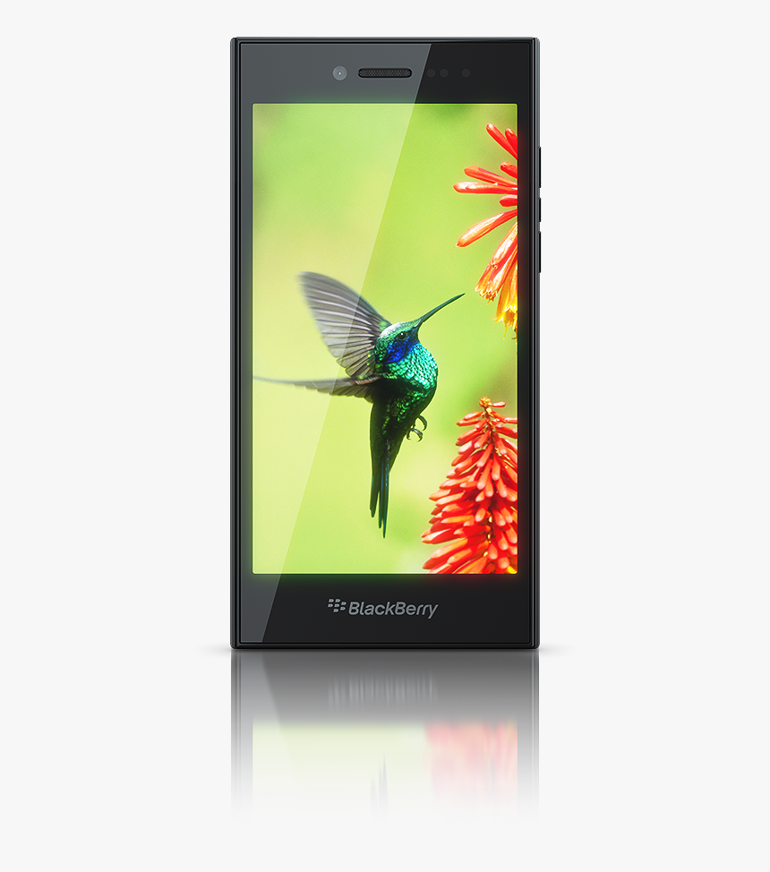 01 - Original - Blackberry Mobile Models With Price, HD Png Download