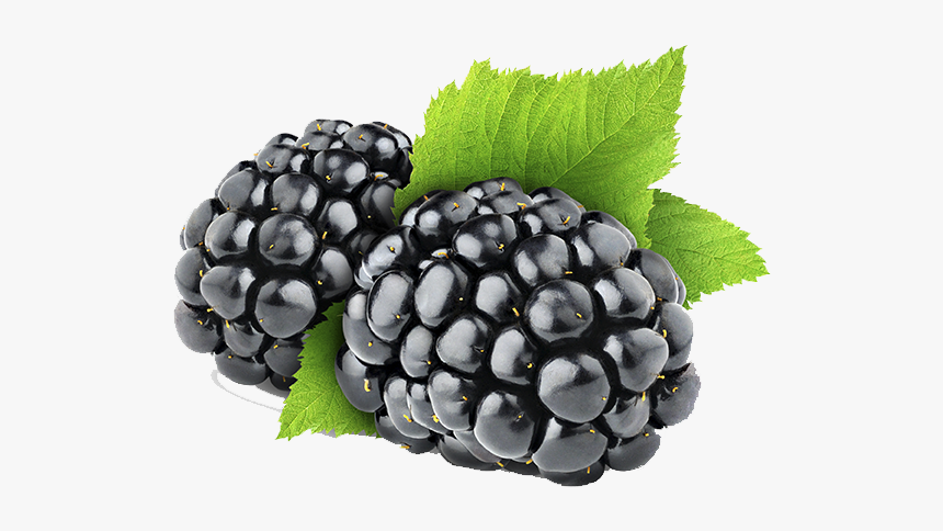 Blackberry Png Image - Black Berry Png, Transparent Png