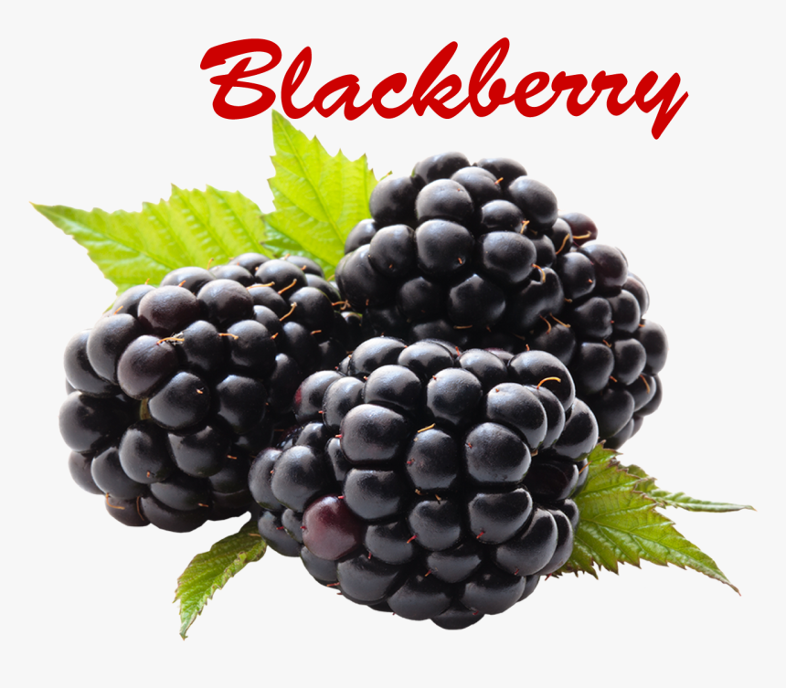 Blackberry Png Picture - Health Benefits For Blackberry, Transparent Png