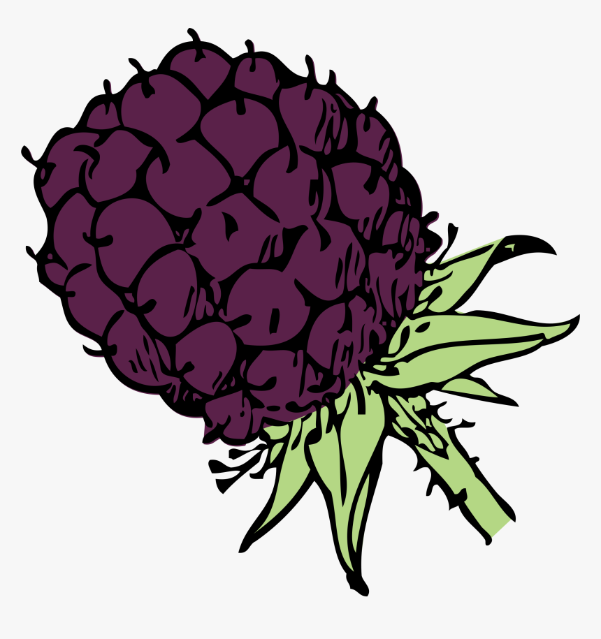 Color Clip Arts - Blackberry Clip Art Png, Transparent Png