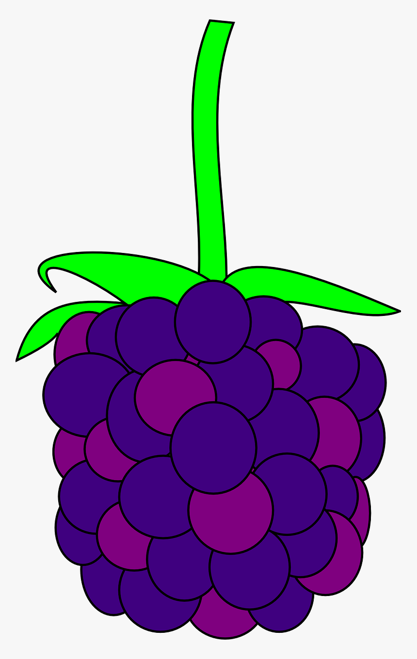 Blackberry Clipart, HD Png Download
