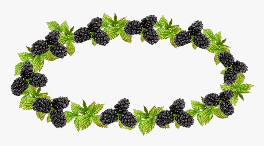 Label, Blackberry, Preserves, Jam, Border - Blackberry, HD Png Download