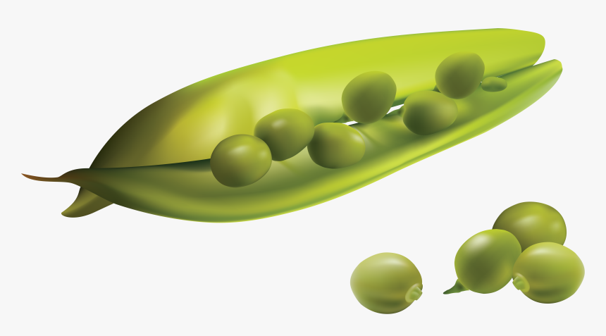Best Free Pea Png Image Without Background - Realistic Vegetables Png Vector, Transparent Png