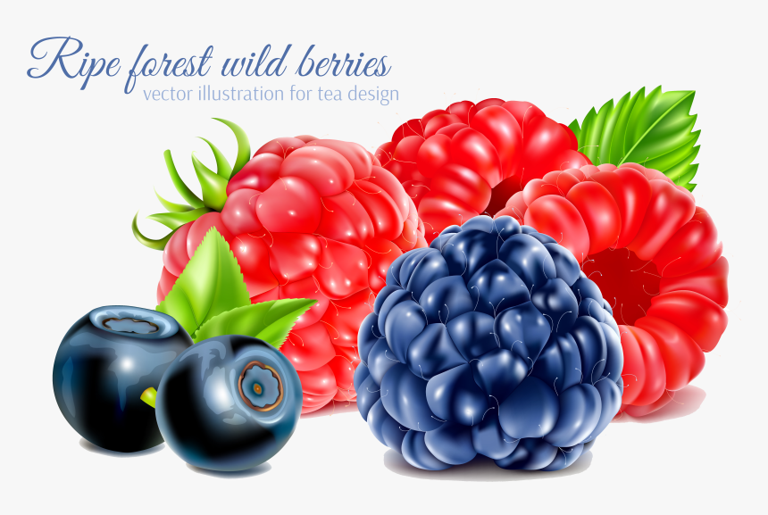 Frutti Di Bosco Raspberry Fruit, HD Png Download