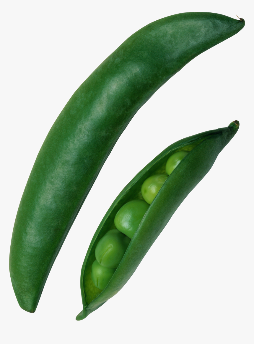 Pea - Green Pea, HD Png Download