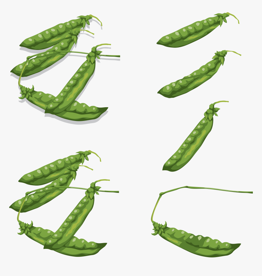 Pea Png Download Image - Стручок Png, Transparent Png