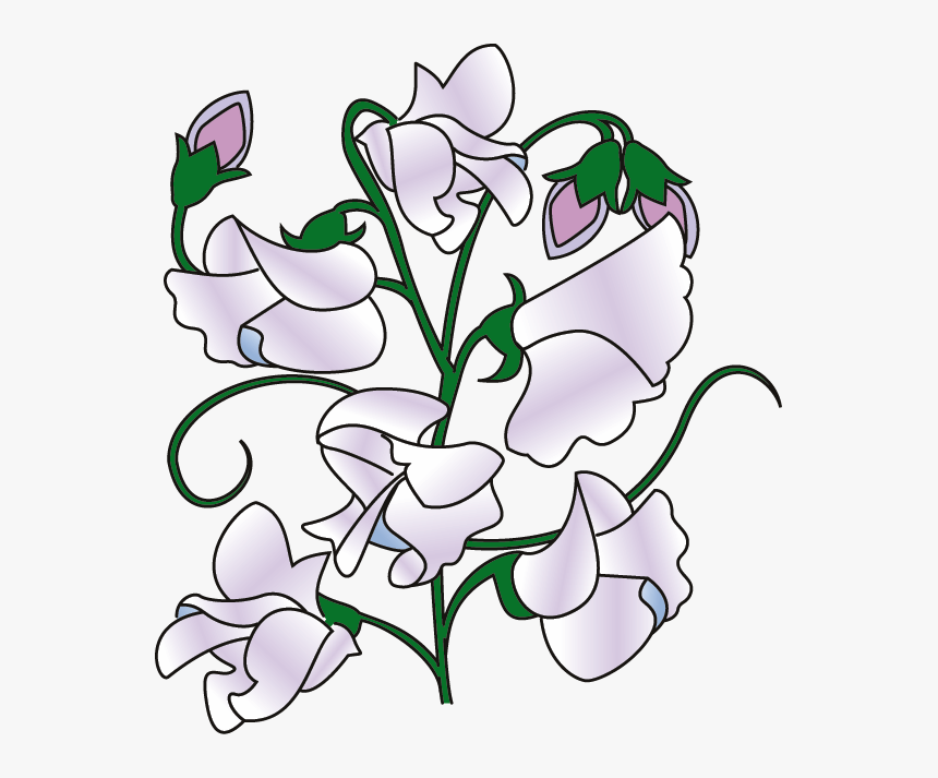 Sweet Pea Border Clipart Sweet Pea Flower Cartoon - Cartoon Sweet Pea Flower, HD Png Download