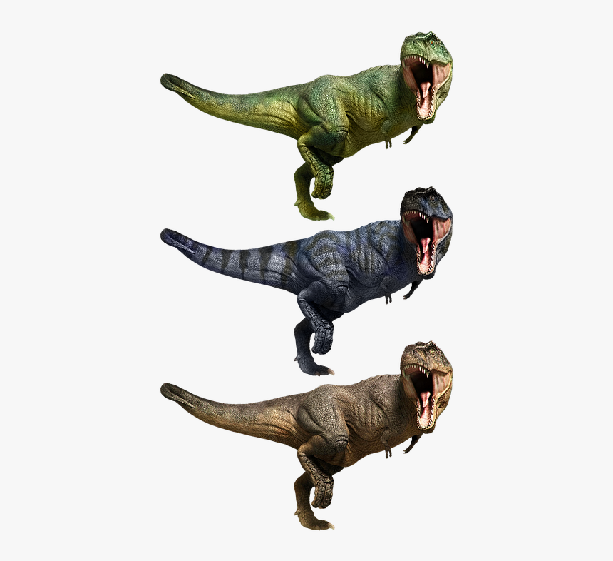 Tyrannosaurus, T, Rex, T-rex, Tyrannosaur, Dinosaur - Tyrannosaurus, HD Png Download
