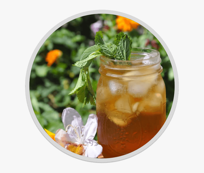 Speak Easy Throat Coat Tea - Iced Tea, HD Png Download
