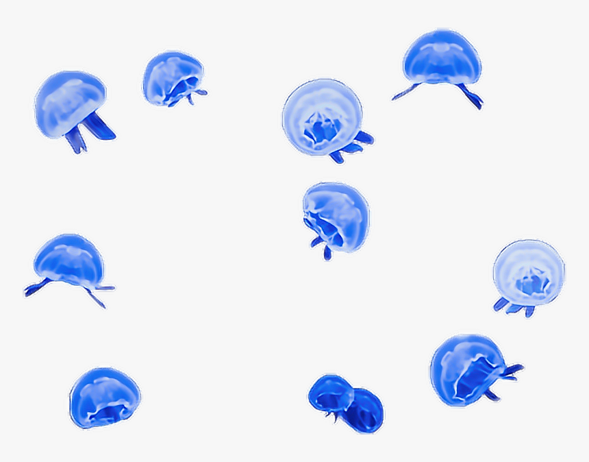 Tumblr Ocean Png - Ocean Png, Transparent Png