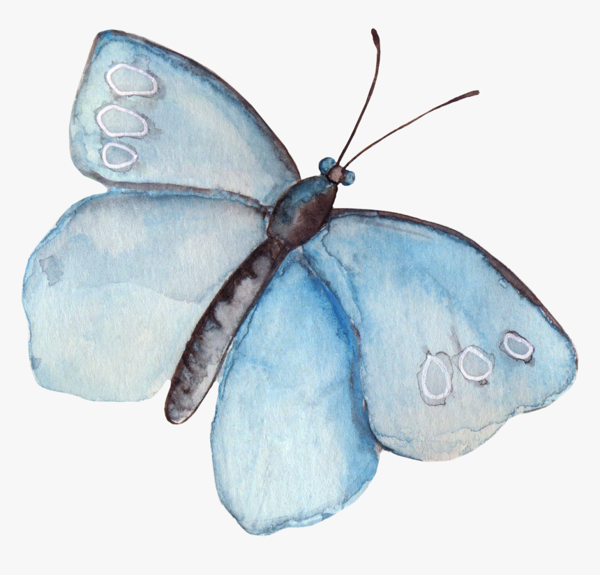 Transparent Wound Clipart - Watercolor Butterflies Clip Art, HD Png Download