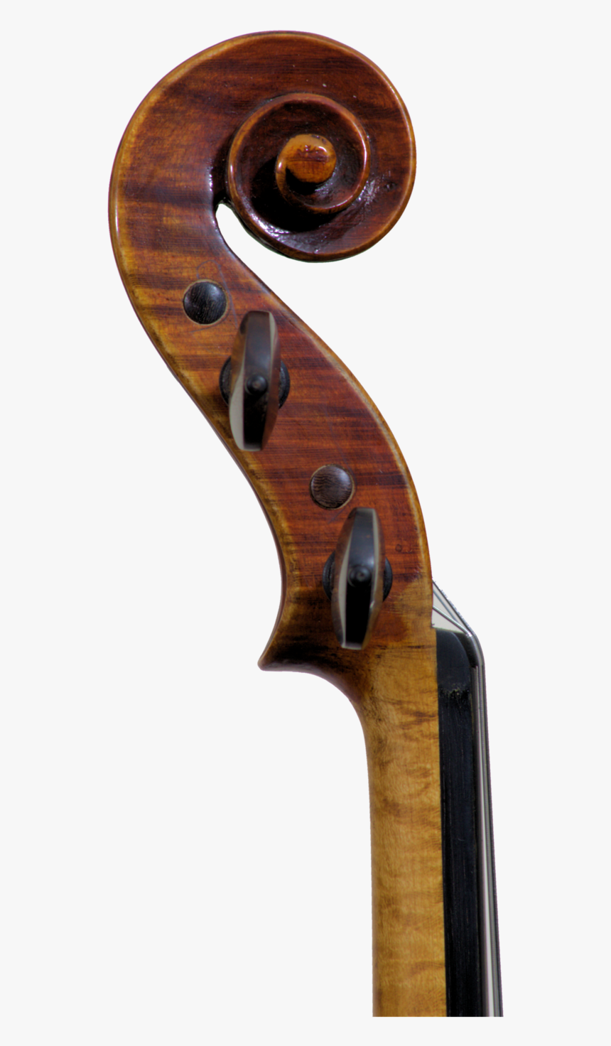 Classic Scroll - Plywood - Firearm, HD Png Download